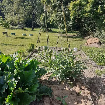 Malvoisine * Ecuille