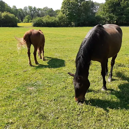 Malvoisine בית נופש
