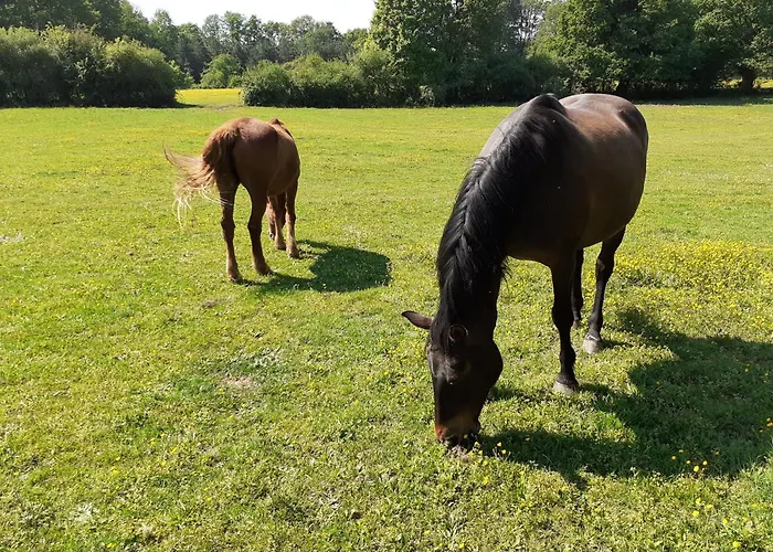 Malvoisine Prázdninový dům